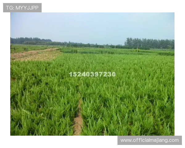 优发网址登录入口更新,便捷登录方式助你快速进入游戏世界 优发网址登录入口更新,便捷登录方式助你快速进入游戏世界