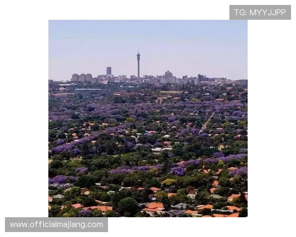 德班国际娱乐平台：引领非洲线上娱乐行业的创新发展趋势